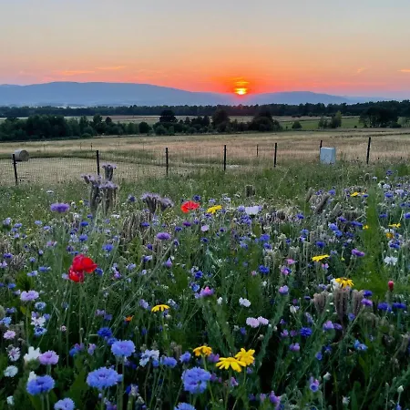 Samsara Kolo Miedzygorza Z Sauna I Klimatyzacja