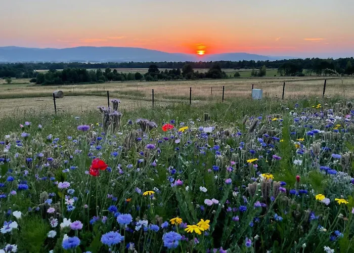 Samsara Kolo Miedzygorza Z Sauna I Klimatyzacja