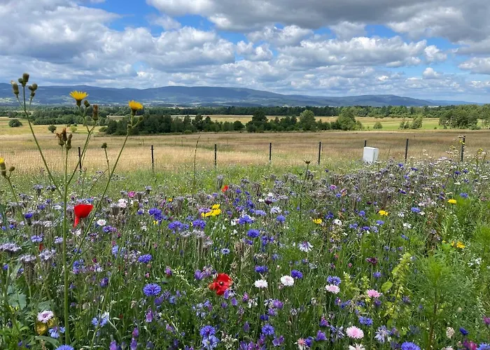 Casa de Férias Samsara Koło Międzygórza Z Sauną I Klimatyzacją