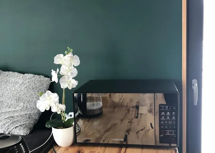 Samsara Koło Międzygórza Z Sauną I Klimatyzacją